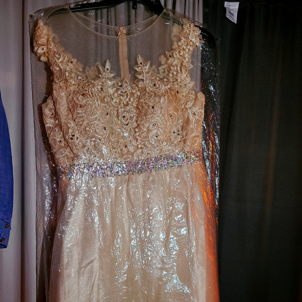 Prom/Homecoming Dress